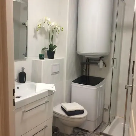 Sci Charcutiere 64 Apartman Bayonne